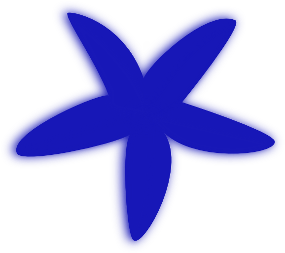Blue_ Starfish_ Clipart_ Vector PNG image