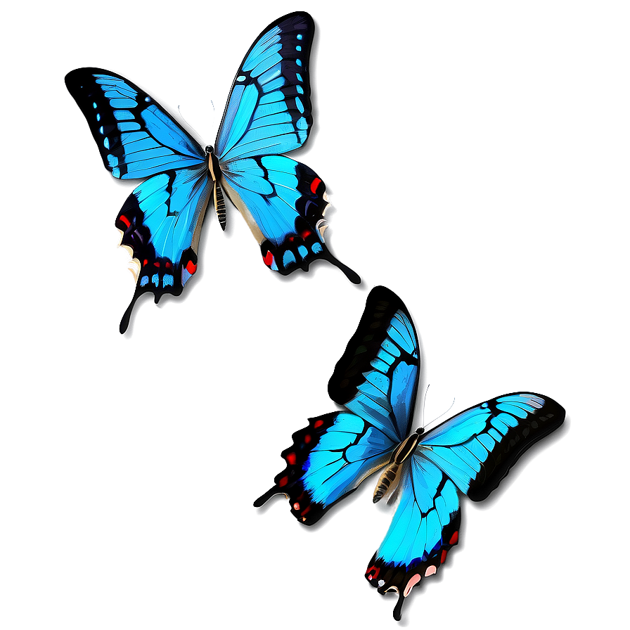 Blue Swallowtail Butterflies Png 06132024 PNG image