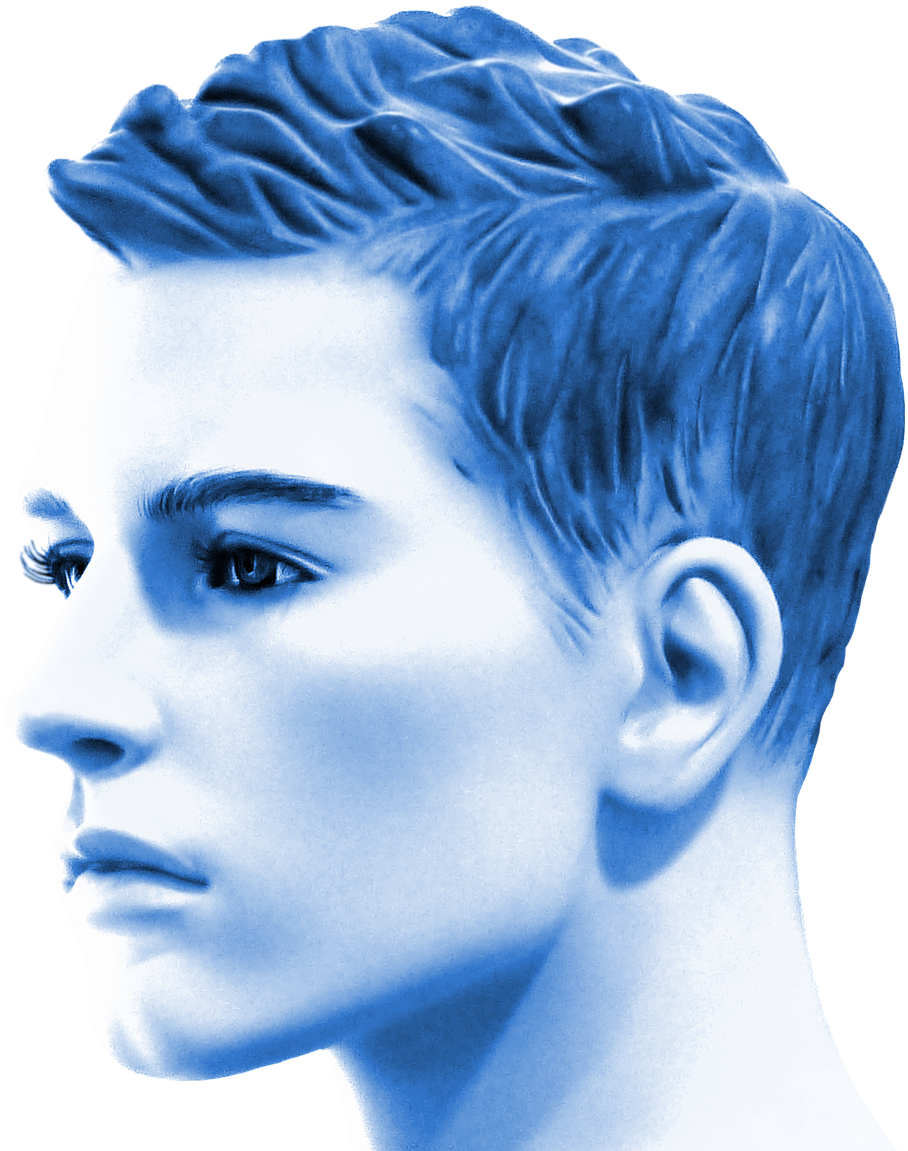 Blue Toned Profile Portrait PNG image