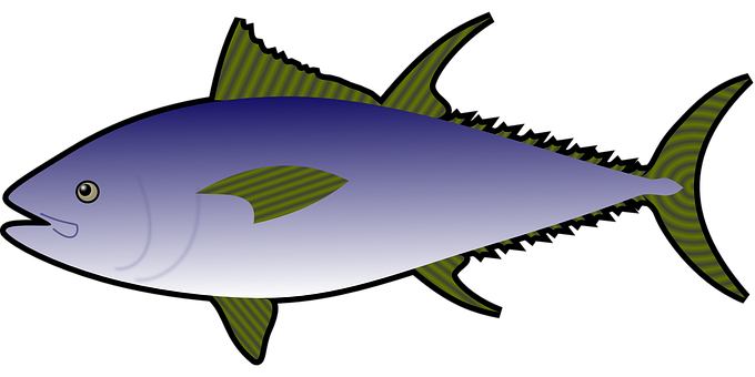 Blue Tuna Illustration PNG image