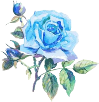 Blue Watercolor Rose Artwork PNG image