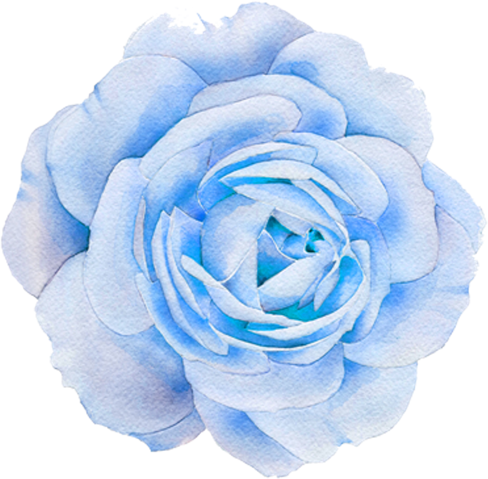 Blue Watercolor Rose PNG image