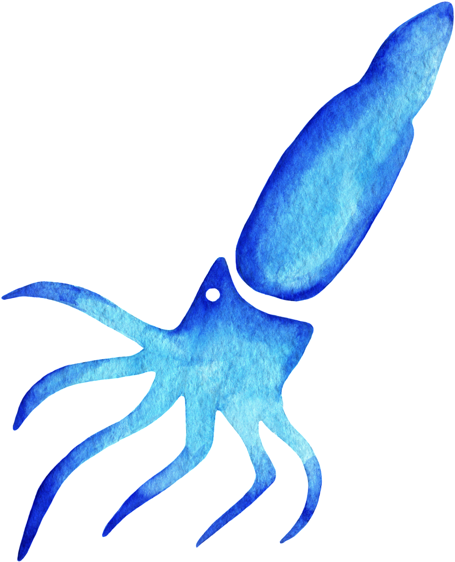 Blue Watercolor Squid Illustration PNG image