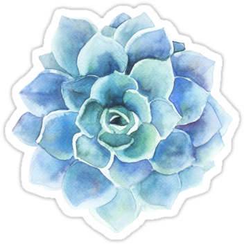 Blue Watercolor Succulent Artwork PNG image