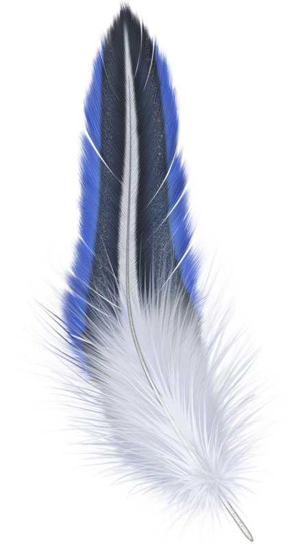 Blueand White Feather Artwork PNG image