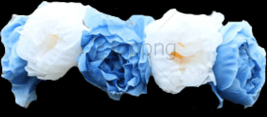 Blueand White Floral Array PNG image