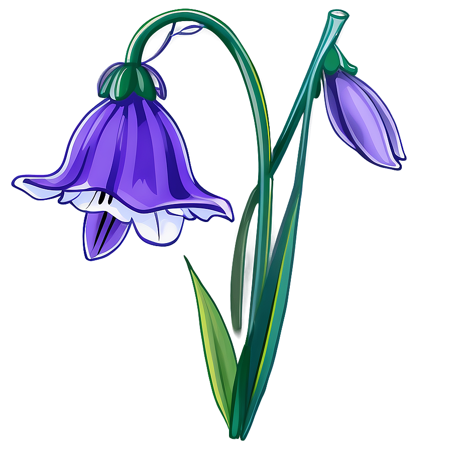 Bluebell Flower Transparent Png 05252024 PNG image