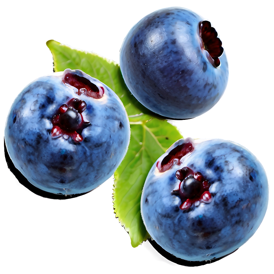 Blueberries Art Png 05242024 PNG image