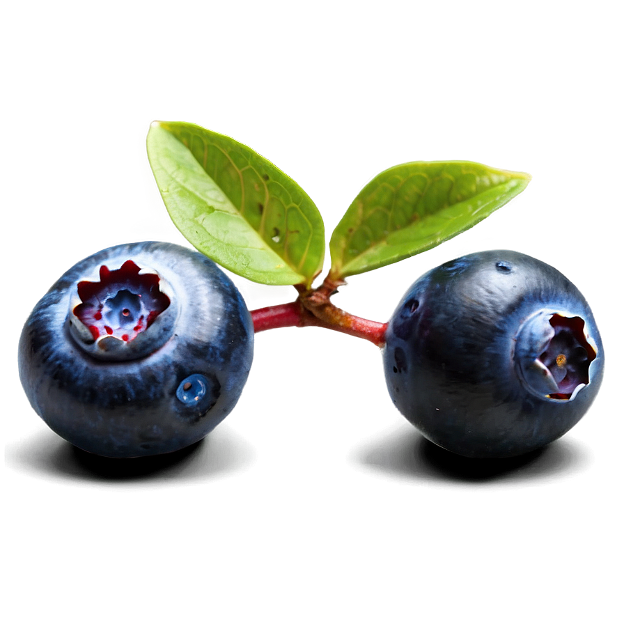 Blueberries For Baking Png 51 PNG image