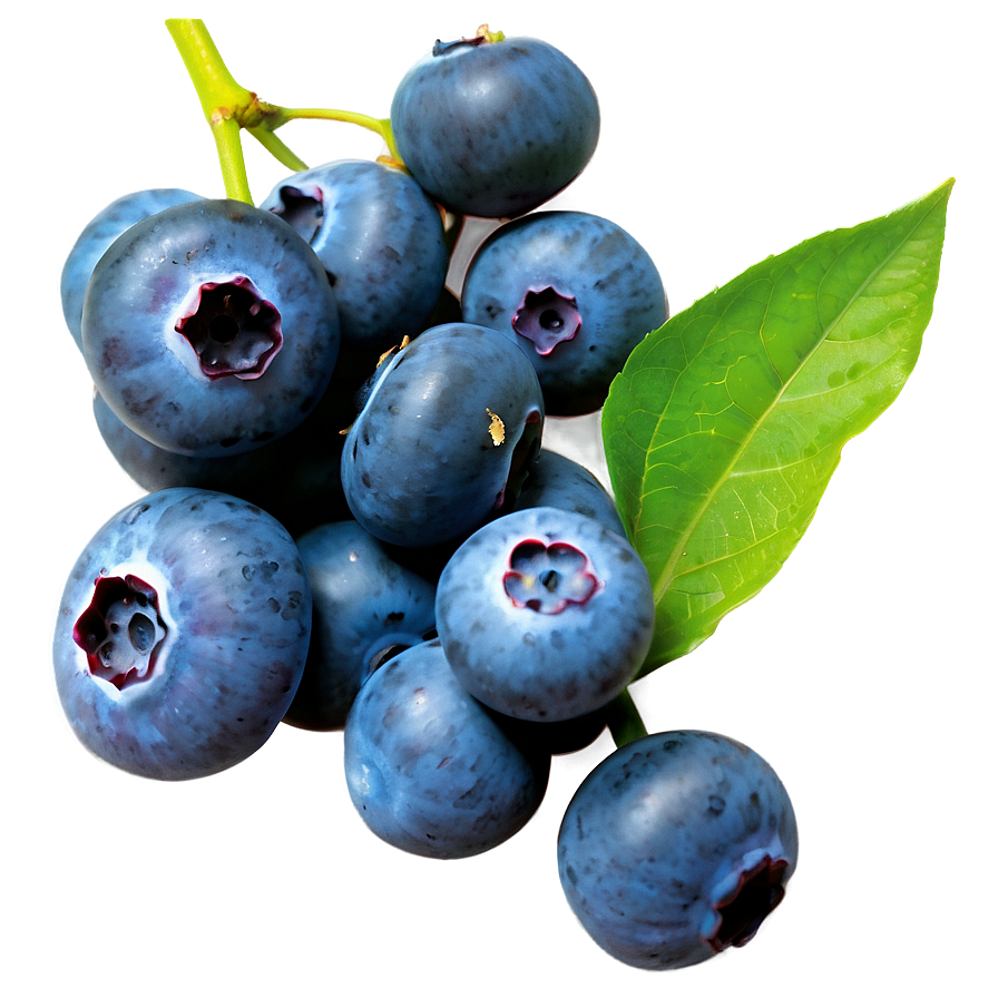 Blueberries In Market Png 58 PNG image