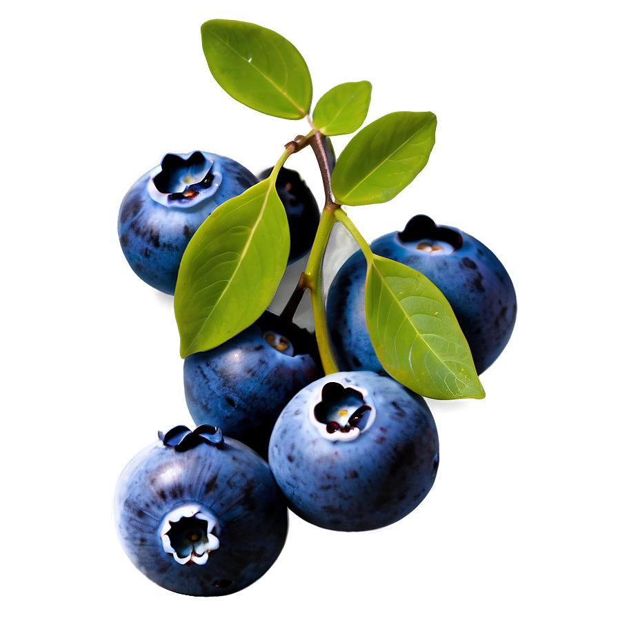 Blueberries On Vine Png 89 PNG image