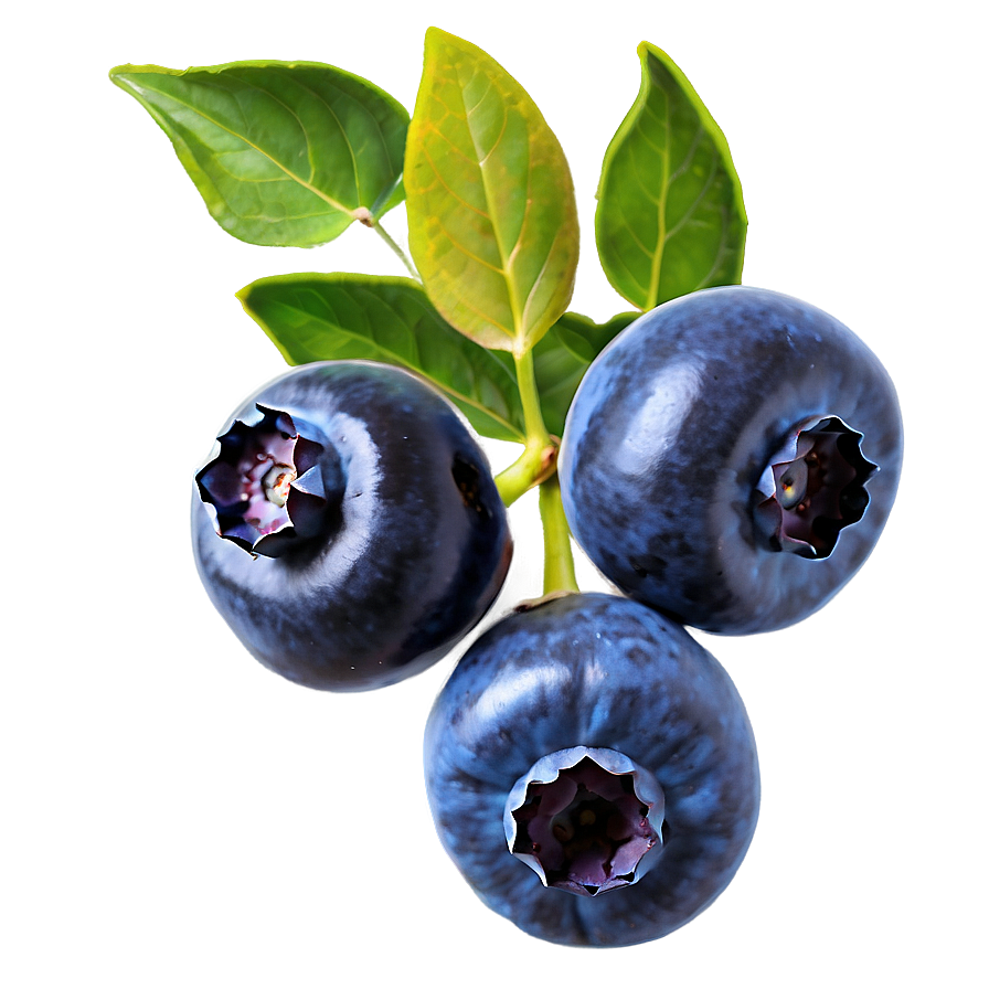 Blueberries With Leaves Png 05242024 PNG image