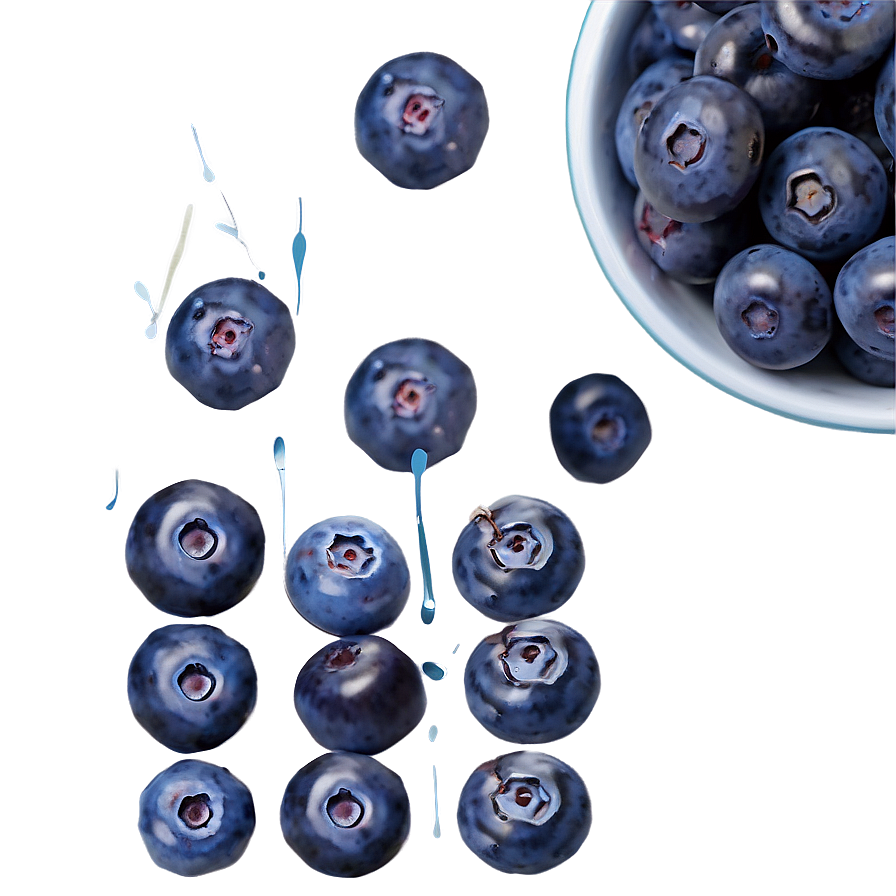 Blueberry Artisanal Preparation Png 05212024 PNG image