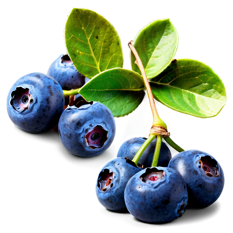 Blueberry Bunch Png Eol59 PNG image