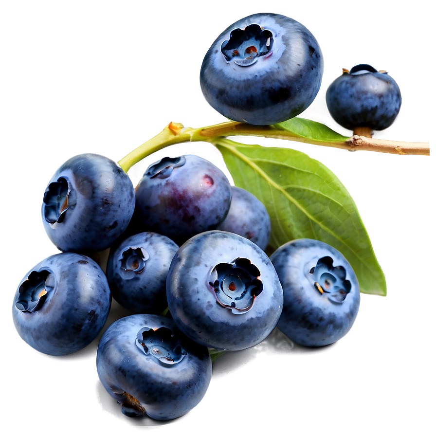 Blueberry Closeup Png 05242024 PNG image