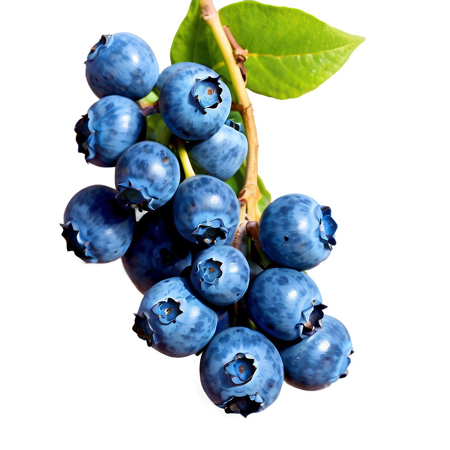 Blueberry Cluster Png 05242024 PNG image