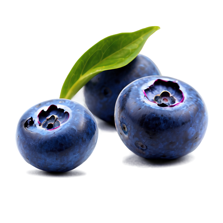 Blueberry Culinary Art Png 8 PNG image