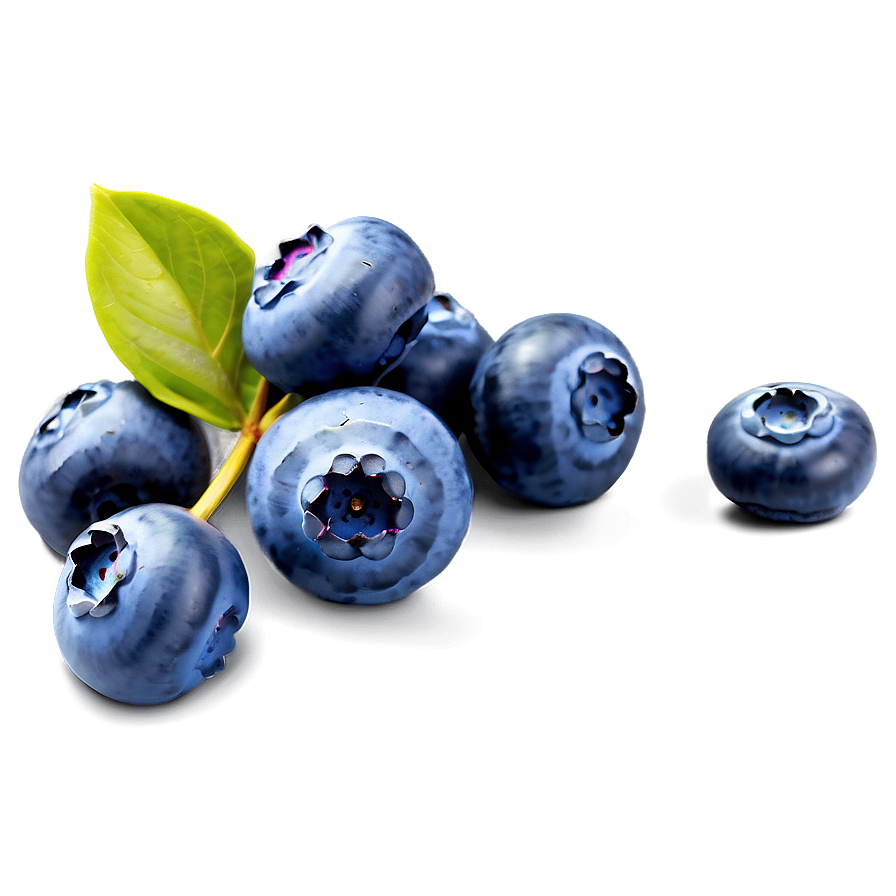 Blueberry Festival Pick Png 05212024 PNG image