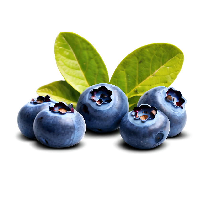 Blueberry Fruit Png Suo86 PNG image