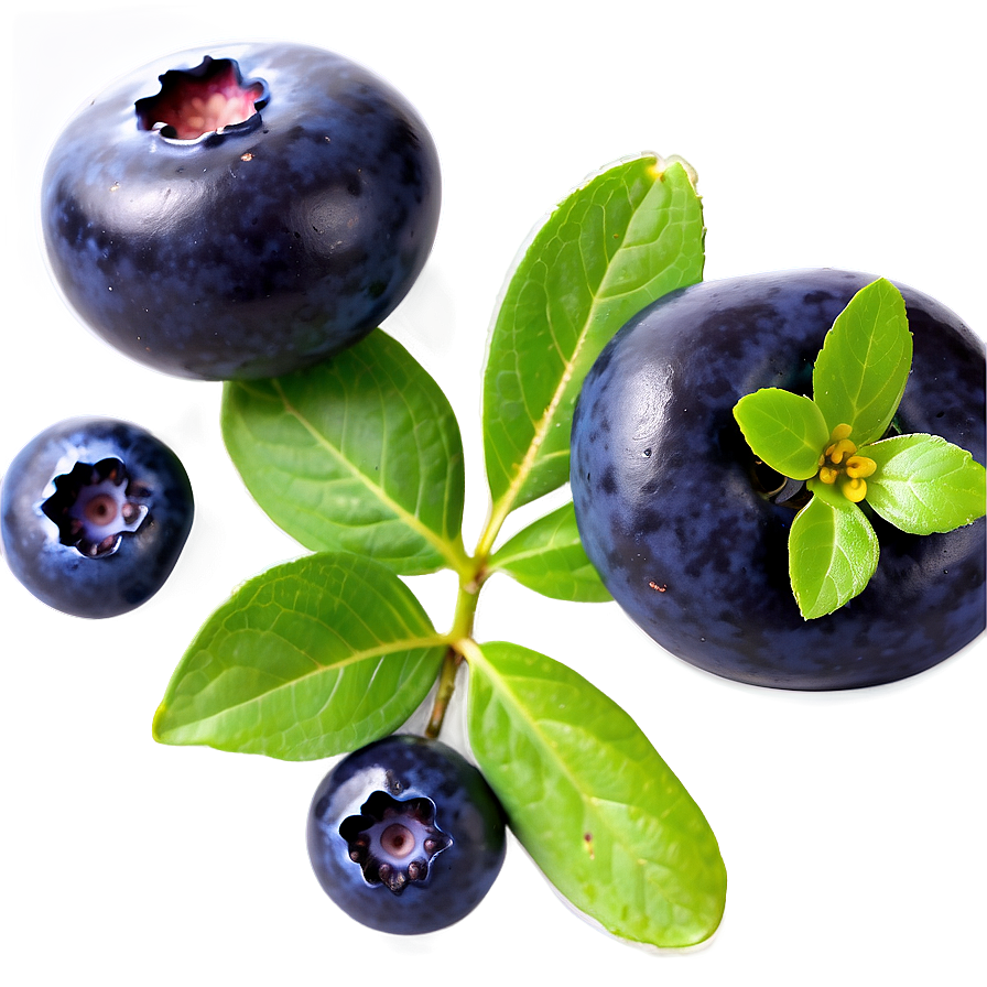 Blueberry Glaze Recipe Png Yik PNG image