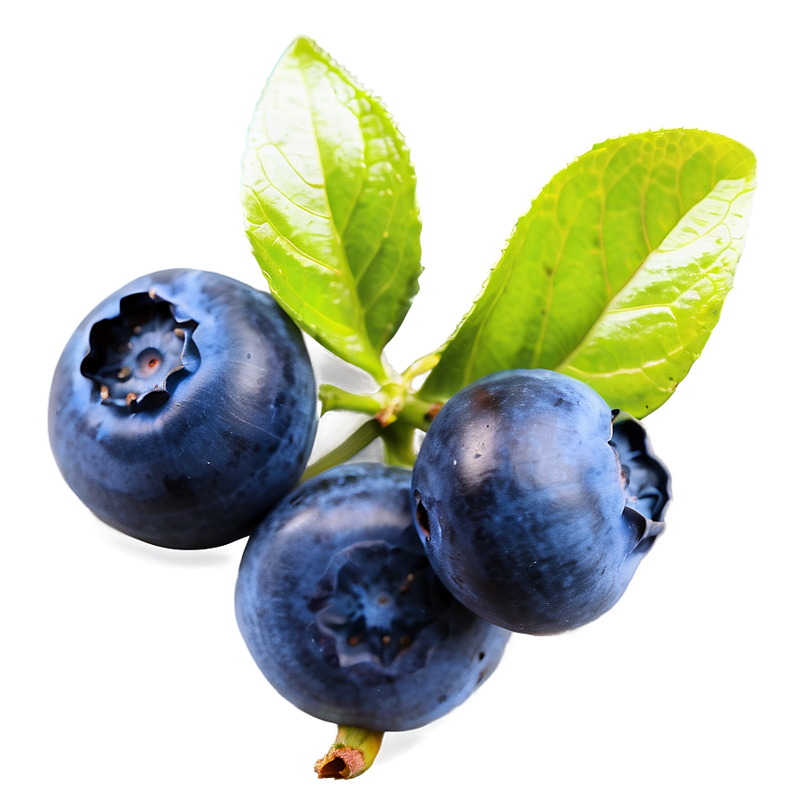 Blueberry Health Boost Png Wcc PNG image