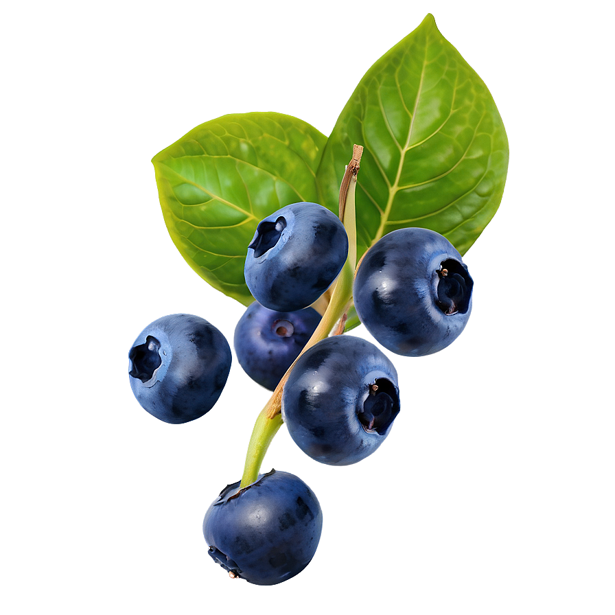 Blueberry Mix Png 05242024 PNG image