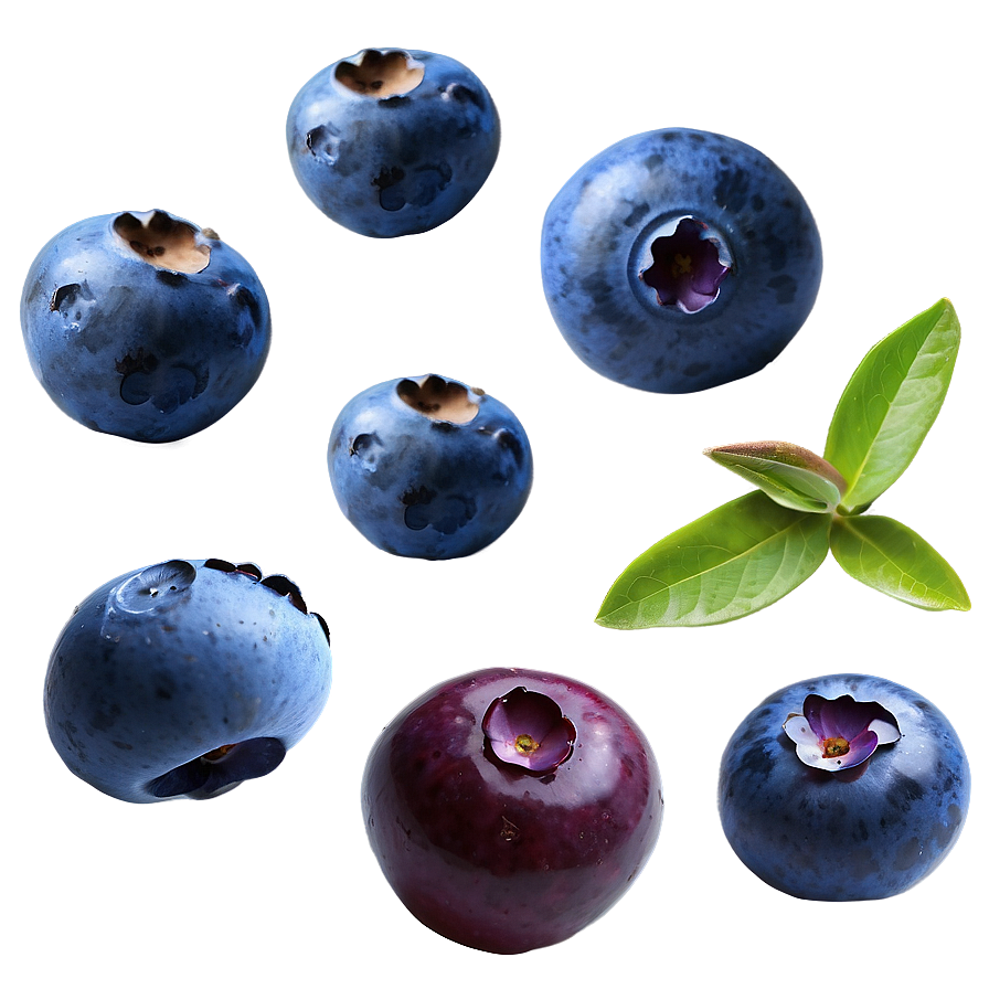 Blueberry Mix Png 21 PNG image