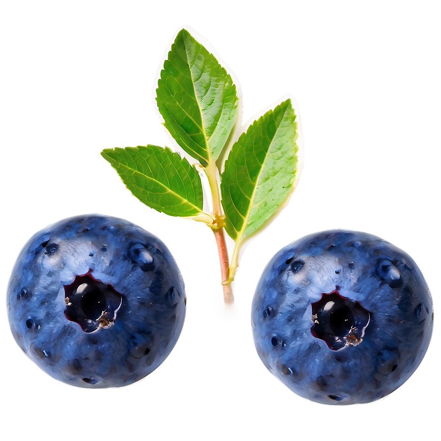 Blueberry Natural Beauty Png 05212024 PNG image