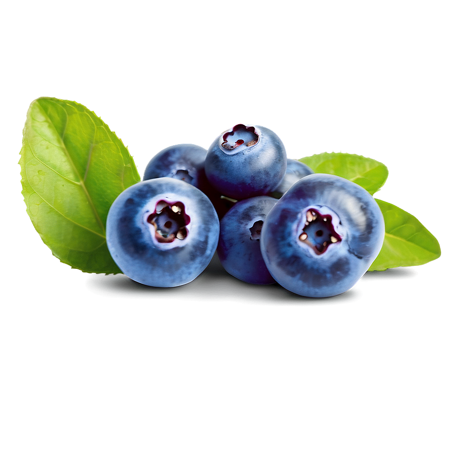 Blueberry Natural Beauty Png Iyp50 PNG image