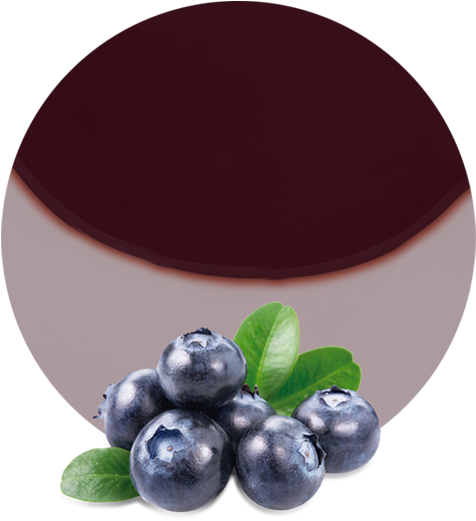 Blueberry Panna Cotta Dessert PNG image