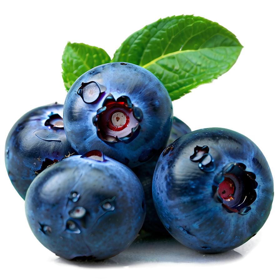 Blueberry Photography Png Ruo78 PNG image