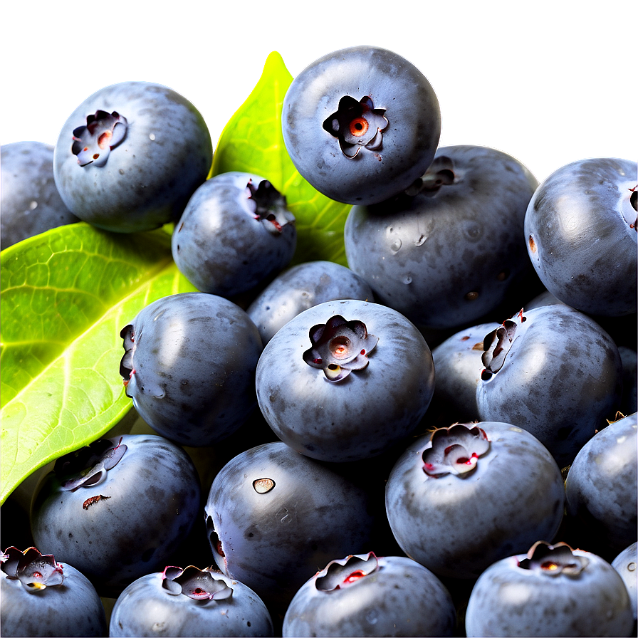 Blueberry Recipe Feature Png 1 PNG image