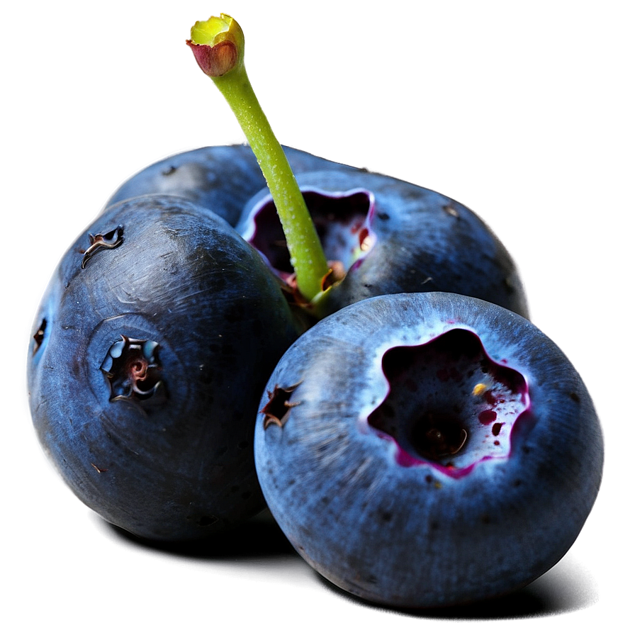 Blueberry Recipe Feature Png Vpr44 PNG image