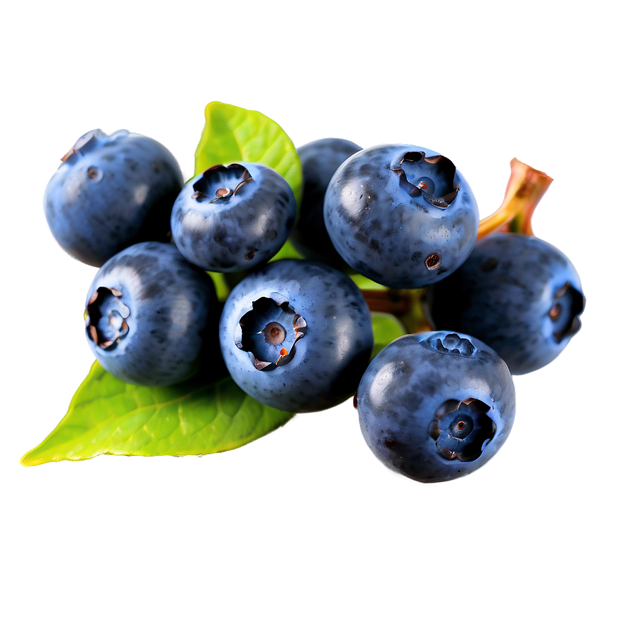 Blueberry Sprig Png Rmn PNG image