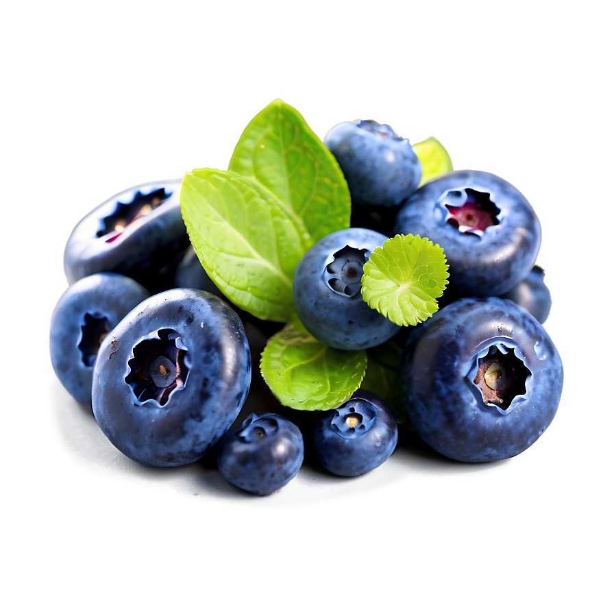 Blueberry Vegan Snack Png 79 PNG image