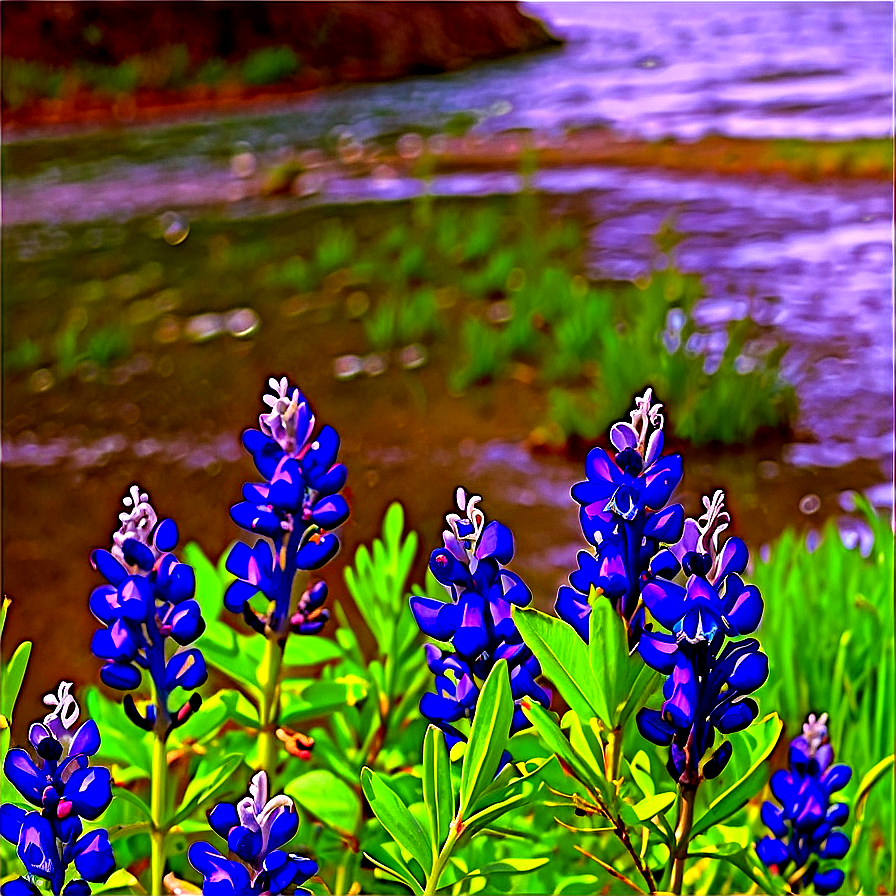 Bluebonnet By The River Png 37 PNG image