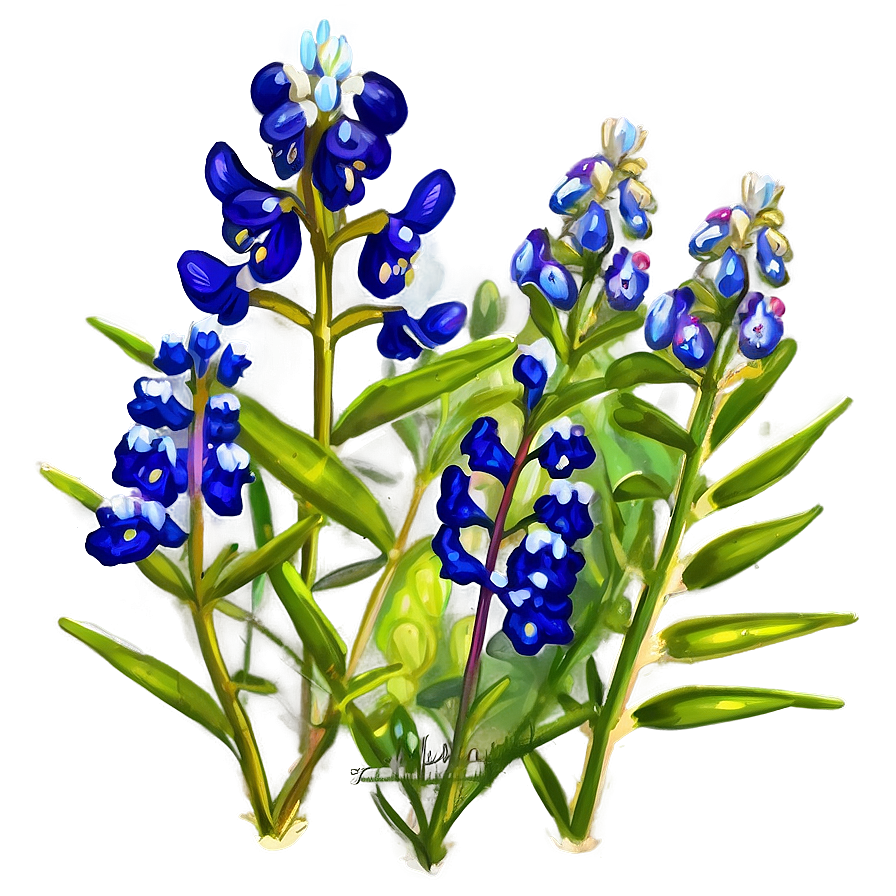 Bluebonnet Country Road Png 06272024 PNG image