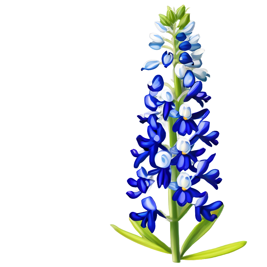 Bluebonnet Png Images (100++)