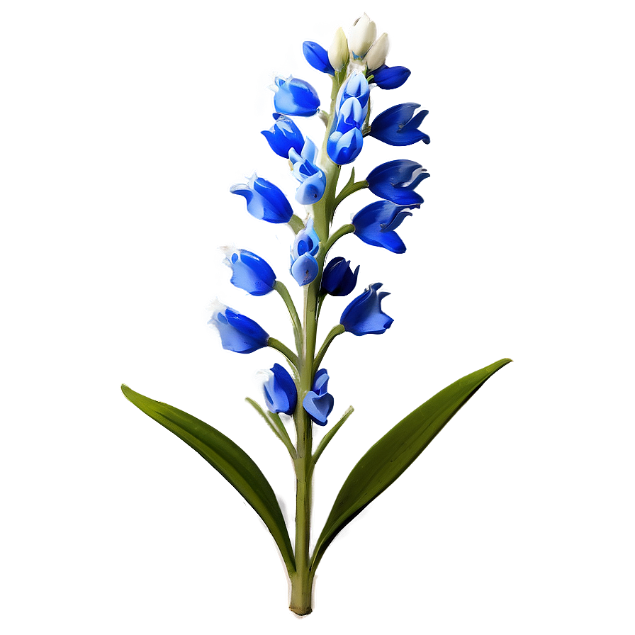 Bluebonnet Floral Pattern Png 3 PNG image