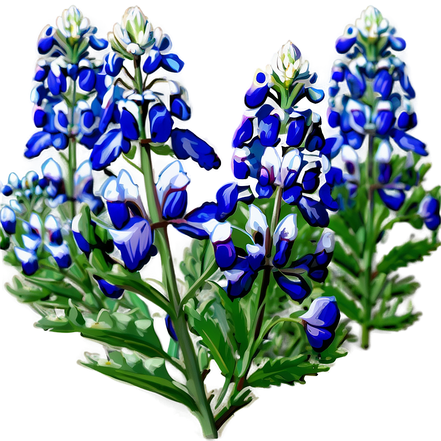 Bluebonnet Natural Habitat Png 06272024 PNG image