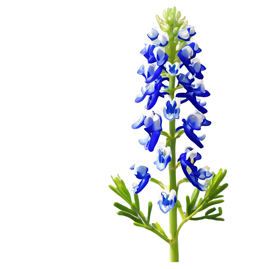 Bluebonnet Natural Habitat Png Nxb PNG image