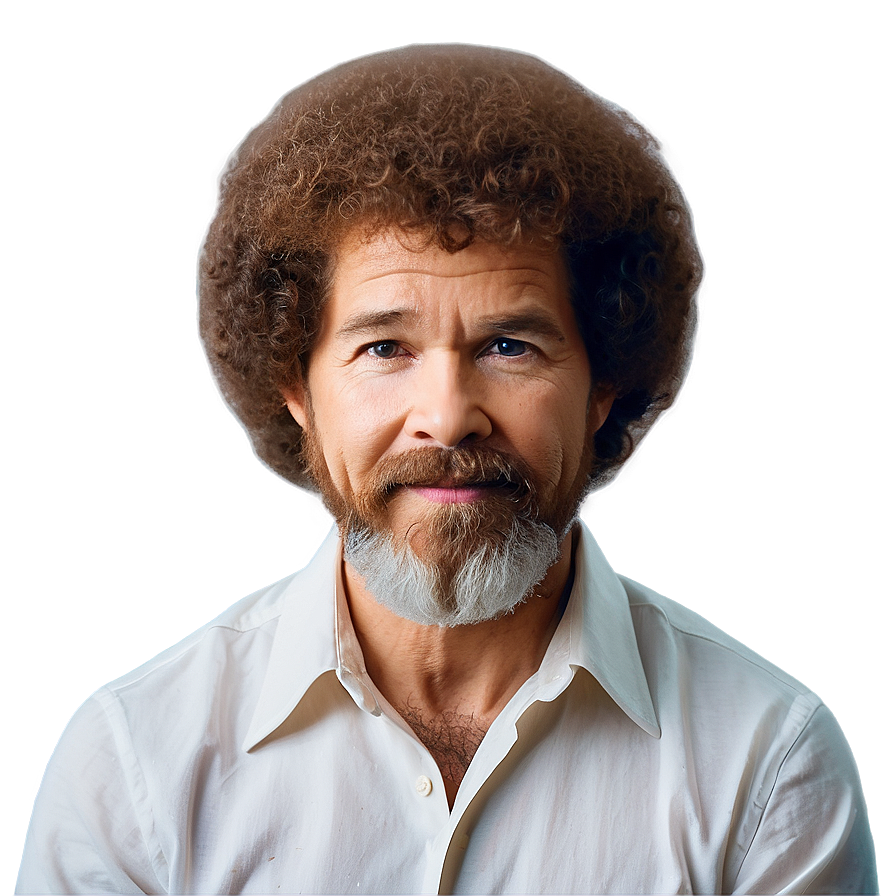 Bob Ross Hair For Social Media Png Fdr51 PNG image