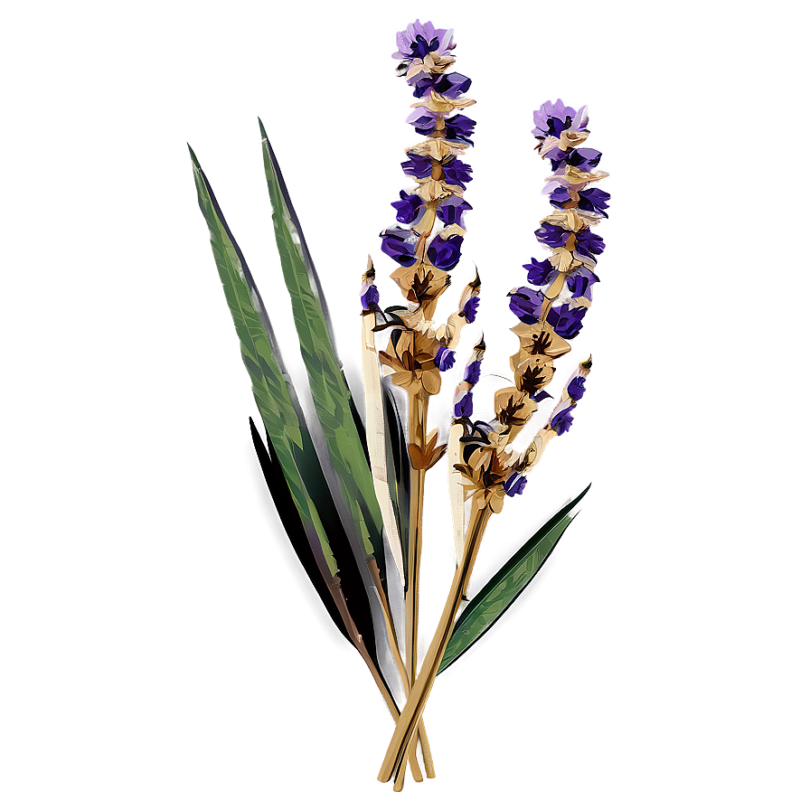 Boho Dried Flowers Png 06272024 PNG image