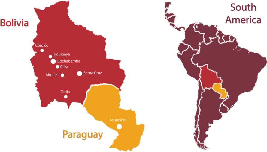 Boliviaand Paraguay Mapwith Cities PNG image