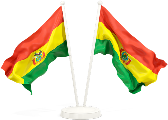 Bolivian Flagson Stands PNG image