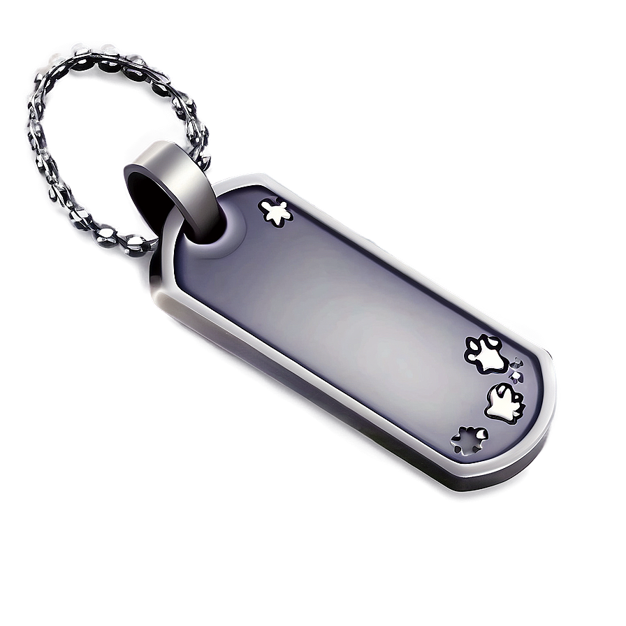 Bone Shaped Dog Tags Png 06212024 PNG image