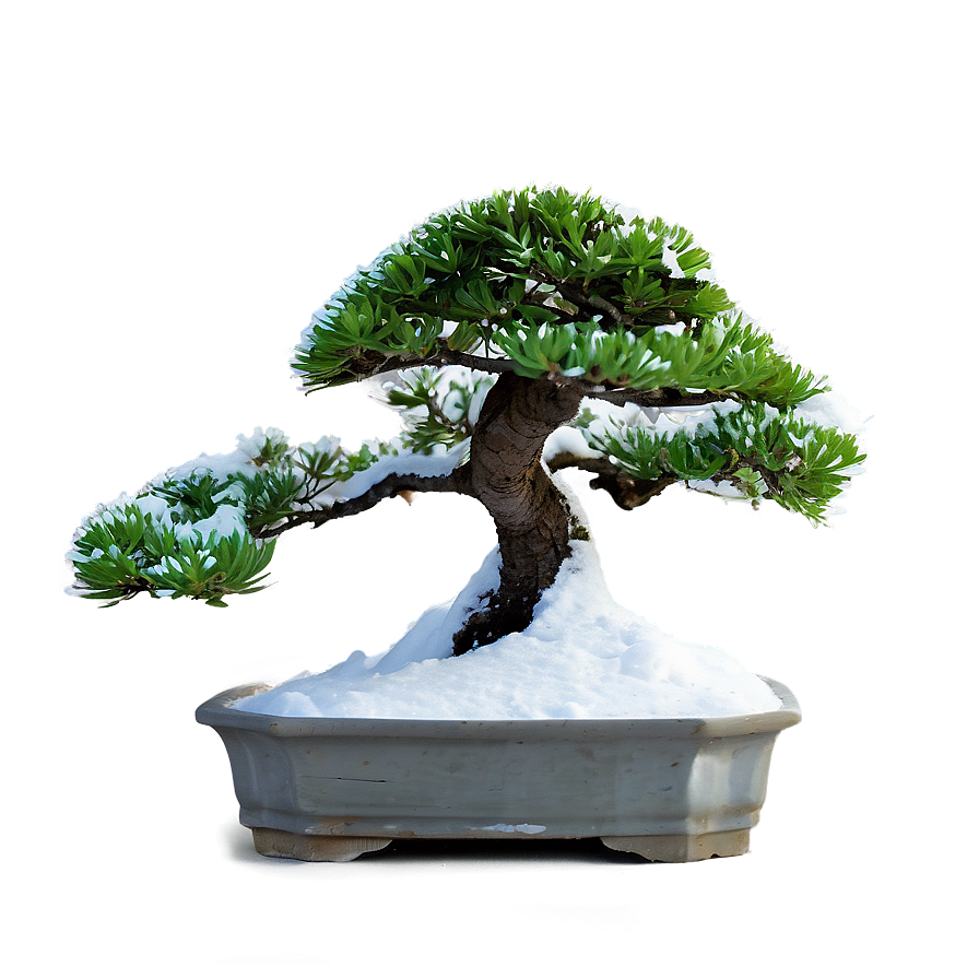 Bonsai Tree In Snow Png 06202024 PNG image