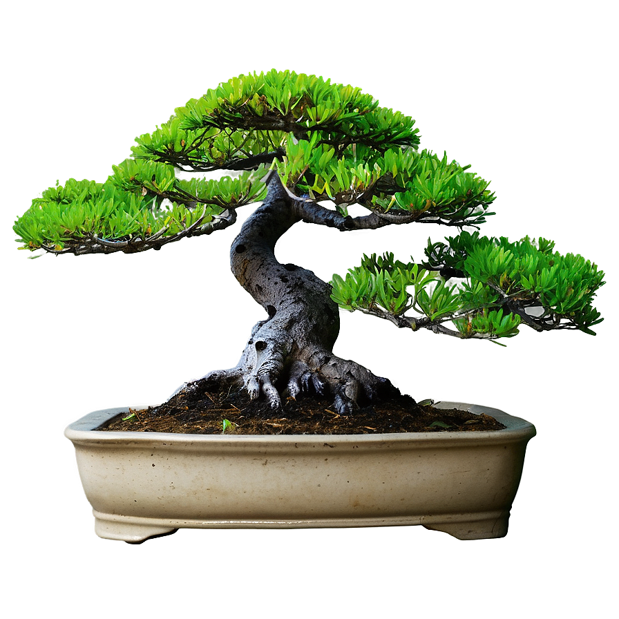 Bonsai Tree Silhouette Png Mpv24 PNG image