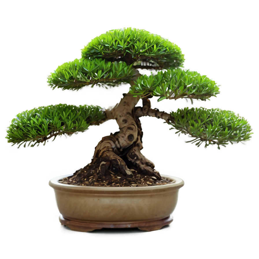 Bonsai Tree With Mountain Background Png 06202024 PNG image