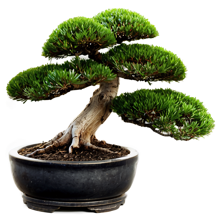 Bonsai Tree With Mountain Background Png Lyp PNG image